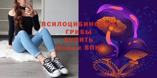 a pvp Арсеньев