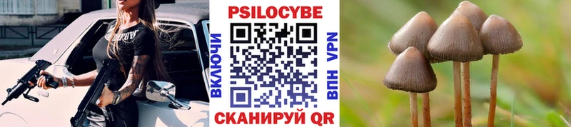 Галлюциногенные грибы GOLDEN TEACHER Лермонтов